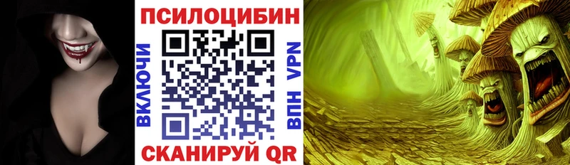 Псилоцибиновые грибы мицелий  где купить   Новошахтинск 