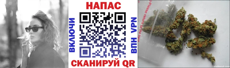 Каннабис план  наркотики  Новошахтинск 